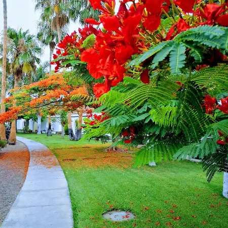 Parque Golf Maspalomas Apartment Maspalomas (Gran Canaria)