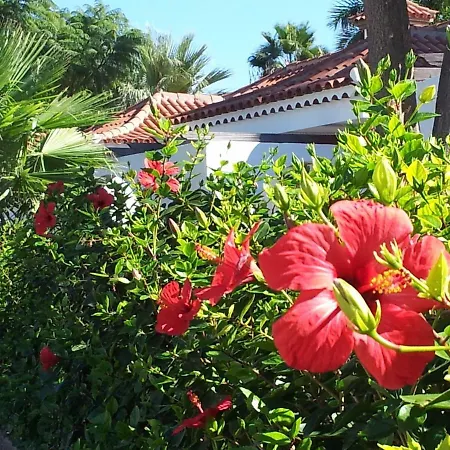Parque Golf Maspalomas Apartment