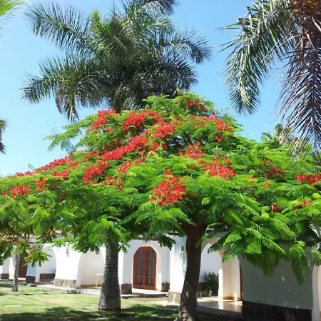 Parque Golf Maspalomas Apartment *